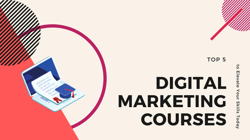 Agency-Vista_digital-marketing-courses-to-elevate-your-skills-today