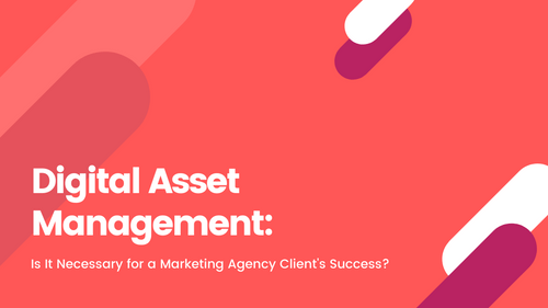Agency-Vista_digital-asset-management-is-it-necessary-for-a-marketing-agency-clients-success